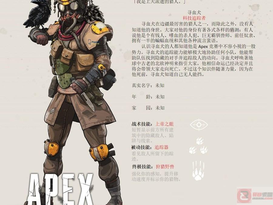 APEX英雄密客有什么技能？APEX英雄新手密客玩法心得分享