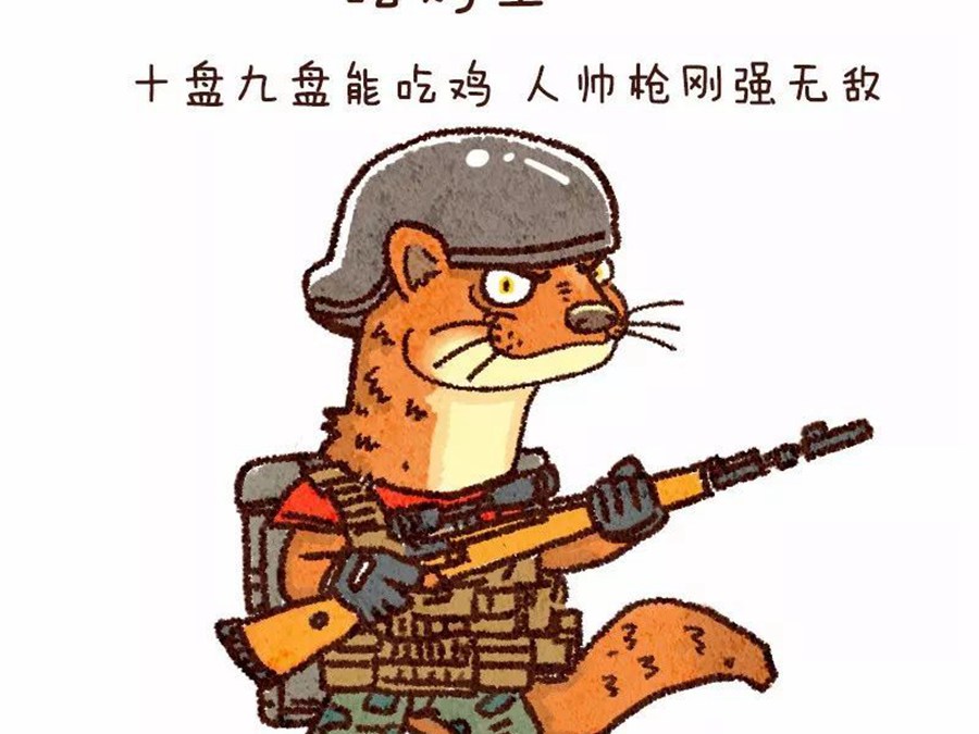 沙海辅助