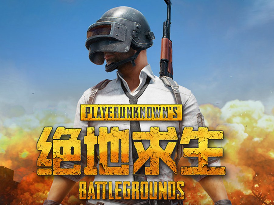 佳丽辅助