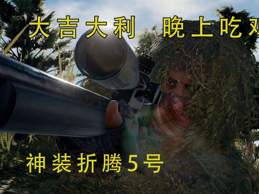 八宝辅助