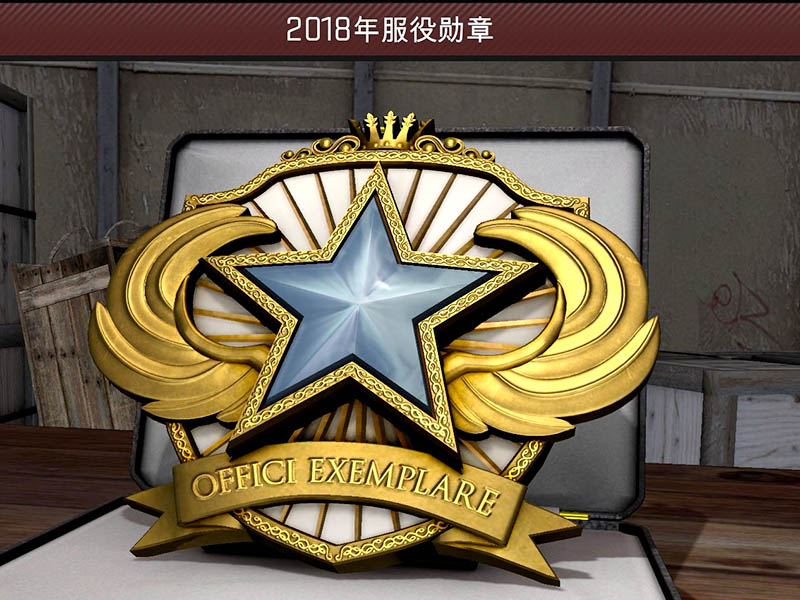 csgo实体徽章多大？