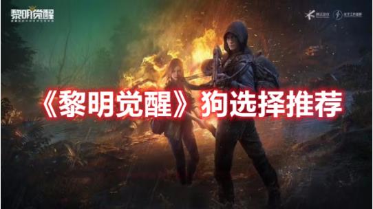 黎明觉醒狗怎么选择比较好？