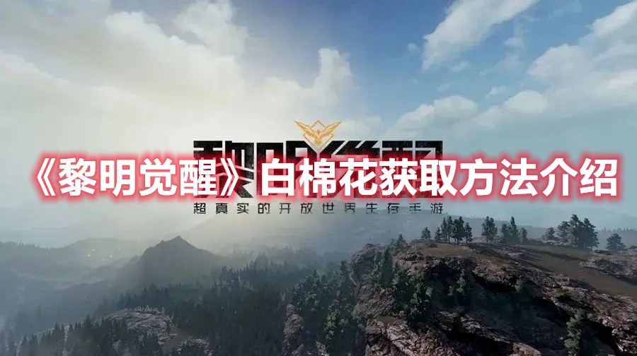 黎明觉醒白棉花在什么地方？怎么获得？