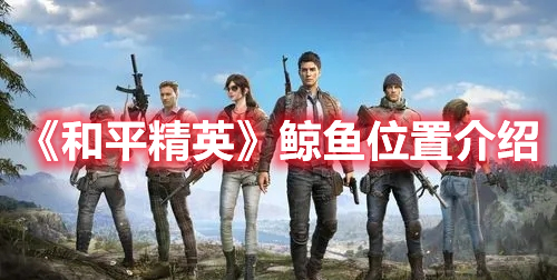 和平精英鲸鱼要怎么才能看？